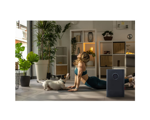 Мойка воздуха Boneco W400 SMART цвет: черный/black