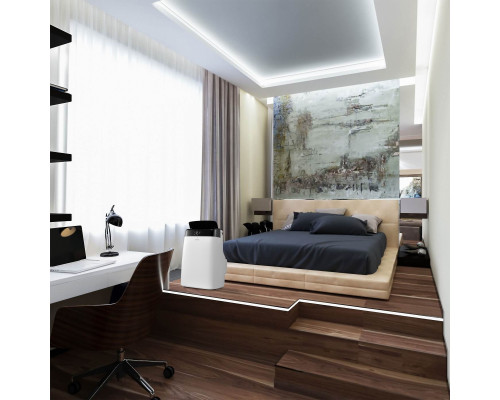 Кондиционер мобильный Ballu Smart Wind BPAC-09 SW/N1