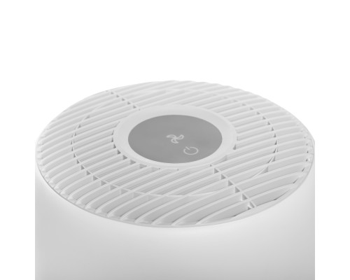 Очиститель воздуха Electrolux EAP-1010D